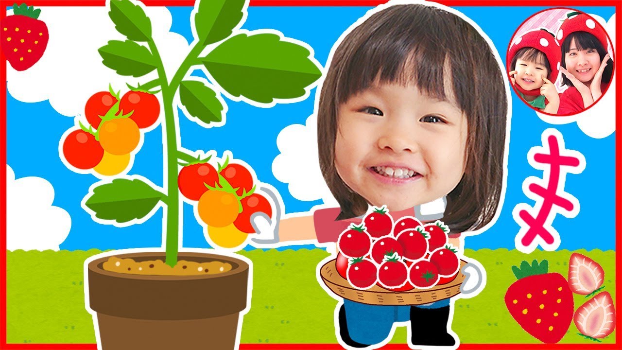 こはるちゃん初めてのトマトの収穫だよ❤自分で育てた野菜を食べてみよう❤　アンパンマン　おままごと　家庭菜園　食育
